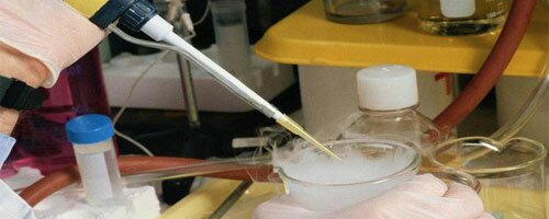 Исследования лакокрасочных материалов и покрытий